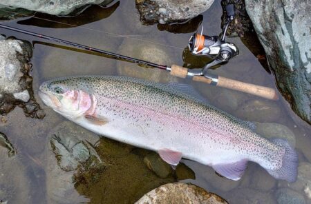 出遅れで苦戦　～天竜川ルアーフライテンカラ専用区～